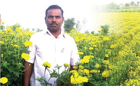 ರಾಮನ ಚೆಂಡು