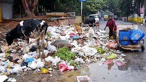 (ಸಾಂದರ್ಭಿಕ ಚಿತ್ರ)