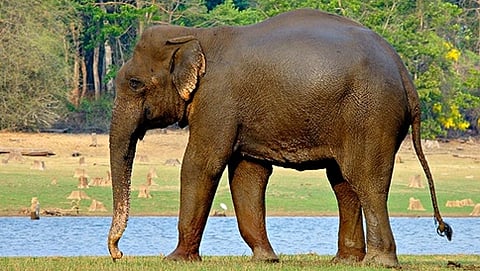 ಸಾಂದರ್ಭಿಕ ಚಿತ್ರ