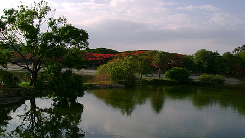 ಕೆರೆ ರಕ್ಷಣೆಗೆ ವಿನೂತನ ಹಬ್ಬ