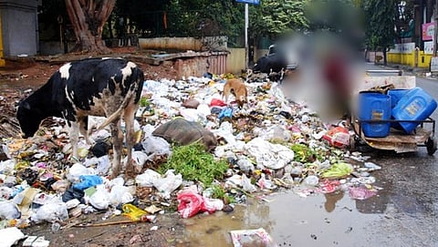 ಸಾಂದರ್ಭಿಕ ಚಿತ್ರ