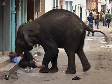 ಸಾಂದರ್ಭಿಕ ಚಿತ್ರ