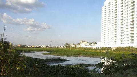 ಸಾಂದರ್ಭಿಕ ಚಿತ್ರ