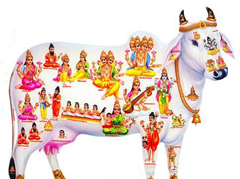 ಸಾಂದರ್ಭಿಕ ಚಿತ್ರ