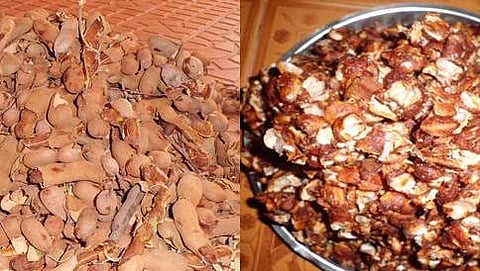 ಹುಣಸೆ ಹಣ್ಣು