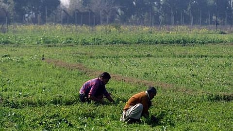 ಸಾಂದರ್ಭಿಕ ಚಿತ್ರ