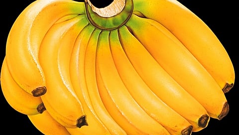ಬಾಳೆಹಣ್ಣು