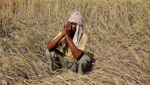 ಇನ್ನೂ ಆರು ರೈತರ ಆತ್ಮಹತ್ಯೆ (ಸಾಂದರ್ಭಿಕ ಚಿತ್ರ)
