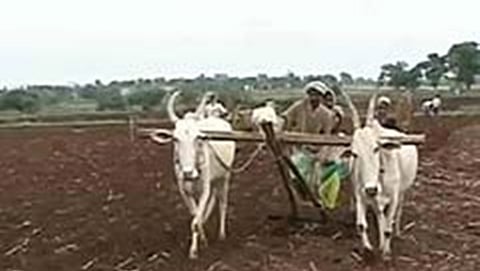 ಸಾಂದರ್ಭಿಕ ಚಿತ್ರ
