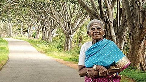 ಸಾಲಮರದ ತಿಮ್ಮಕ್ಕ(ಸಂಗ್ರಹ ಚಿತ್ರ)