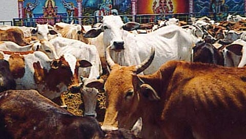 ಸಾಂದರ್ಭಿಕ ಚಿತ್ರ