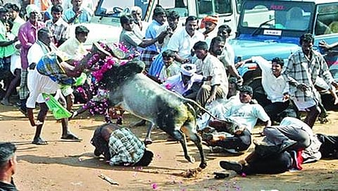 ಸಾಂದರ್ಭಿಕ ಚಿತ್ರ