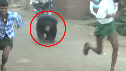 ಕರಡಿ ಮೇಲೆ ಗ್ರಾಮಸ್ಥರಿಂದ ಹಲ್ಲೆ (ಸಂಗ್ರಹ ಚಿತ್ರ)