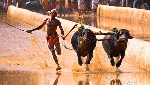 ಸಾಂದರ್ಭಿಕ ಚಿತ್ರ