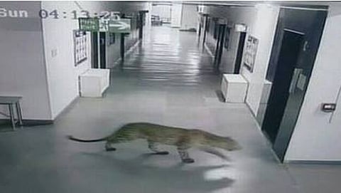 (ಸಾಂದರ್ಭಿಕ ಚಿತ್ರ)