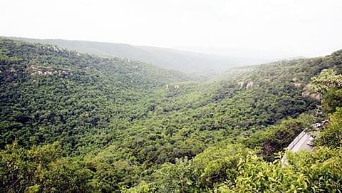 ಸಾಂದರ್ಭಿಕ ಚಿತ್ರ