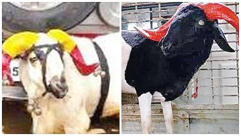 ಶಿವಣ್ಣಗೆ ಅಭಿಮಾನಿಗಳು ನೀಡಿರುವ ಉಡುಗೊರೆ