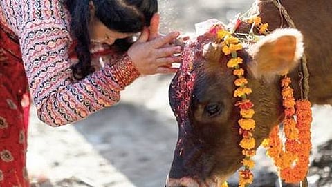 ಗೋ ಮಾಂಸ ತಿನ್ನುವ ದಲಿತರಿಗೆ ಪಾಠ ಕಲಿಸಬೇಕು: ಬಿಜೆಪಿ ಶಾಸಕ