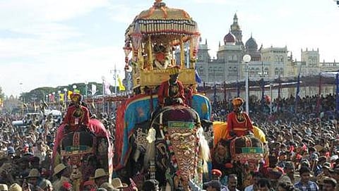 jambu savari