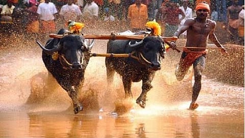 ಸಂಗ್ರಹ ಚಿತ್ರ