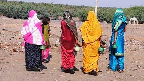 ಸಂಗ್ರಹ ಚಿತ್ರ