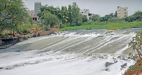 ಕಲುಷಿತ ಬೆಳಂದೂರು ಕೆರೆಯ ಚಿತ್ರ