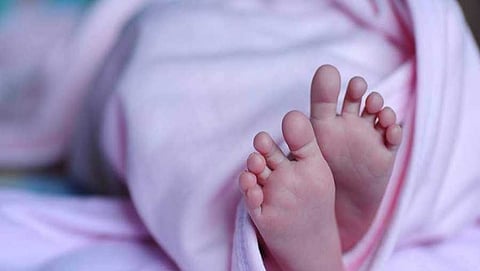 Body of newborn girl found in bushes