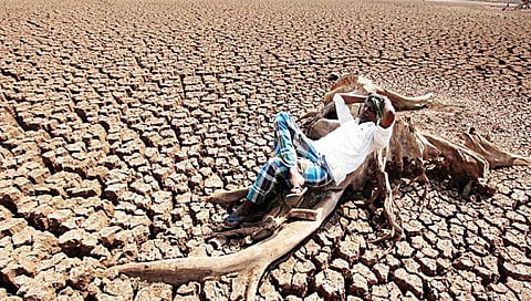 Drought in Karnataka (file photo)