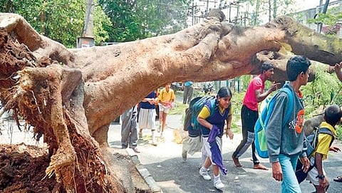 ಸಾಂದರ್ಭಿಕ ಚಿತ್ರ