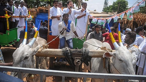 ಕೋಲಾರ ಜಿಲ್ಲೆ ಮಾಲೂರಿನಲ್ಲಿ ರಾಹುಲ್ ಗಾಂಧಿ