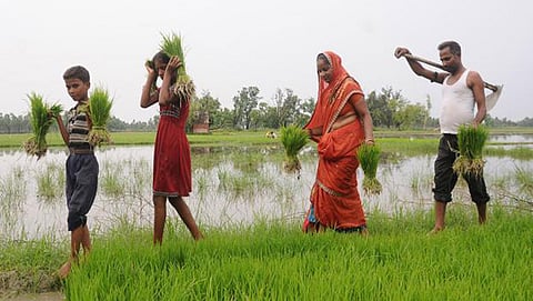 Tamil Nadu revises crop loan waiver scheme, extends relief to 14.43 lakh farmers