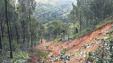 ಸಾಂದರ್ಭಿಕ ಚಿತ್ರ