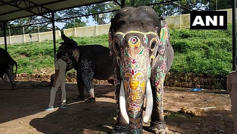 ಜಂಬೂ ಸವಾರಿಗೆ ಸಿದ್ದಗೊಂಡ ಆನೆಗಳು