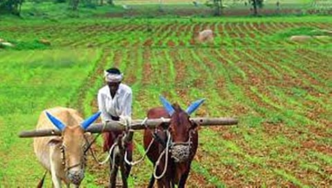 ಸಾಂದರ್ಭಿಕ ಚಿತ್ರ