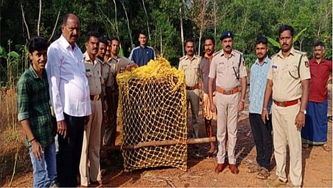 ಚಿರತೆ ಸೆರೆ