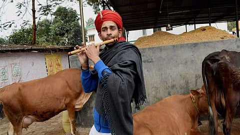ತೇಜ್ ಪ್ರತಾಪ್