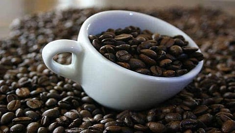 Coffee growers in Karnataka install own weather stations