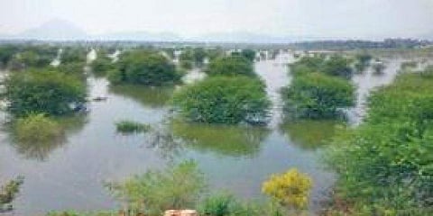 ಗೋಪಾಲ ಕೃಷ್ಣ ಕೆರೆ