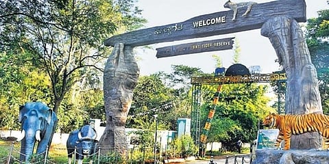 BRT Tiger Reserve