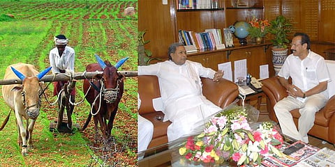 ಸಂಗ್ರಹ ಚಿತ್ರ