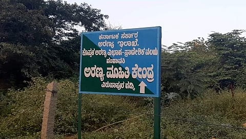 ವಿರುಪಾಪುರ ಗಡ್ಡಿ