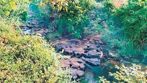 ಮಹದಾಯಿ