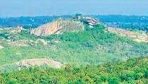 ಬನ್ನೇರುಘಟ್ಟ ಉದ್ಯಾನವನವನ್ನು ಸೂಕ್ಷ್ಮ ವಲಯವಾಗಿ ಕೂಡಲೇ ಘೋಷಿಸಿ: ಬಿ ಎಸ್ ಯಡಿಯೂರಪ್ಪ ಕೇಂದ್ರಕ್ಕೆ ಪತ್ರ