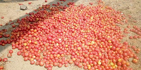 400 ಕೆ.ಜಿ ಟೊಮೆಟೊ ಬೀದಿಗೆ ಎಸೆದು ಹೋದ ಅನ್ನದಾತ!