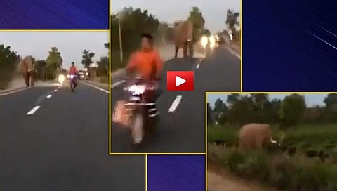 ಸಂಗ್ರಹ ಚಿತ್ರ