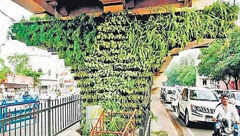 ಸರ್ಕಾರದ ಇಲಾಖೆಗಳ ಅಭಿವೃದ್ಧಿ ಅಳೆಯುವ 'ಹಸಿರು ಸೂಚ್ಯಂಕ' ಕರ್ನಾಟಕದಲ್ಲಿ ಜಾರಿ