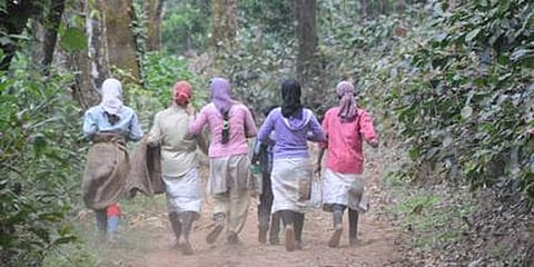 ಸಂಗ್ರಹ ಚಿತ್ರ