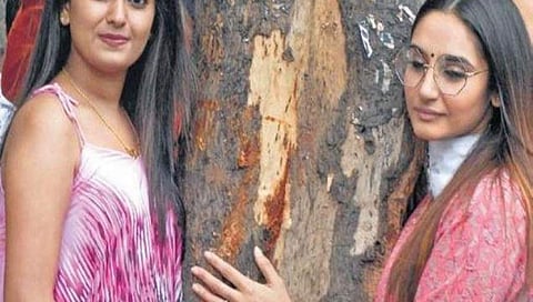 ಬೆಂಗಳೂರಿನಲ್ಲಿ ಚಿಪ್ಕೋ ಚಳುವಳಿ