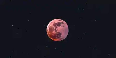 ಸ್ಟ್ರಾಬೆರಿ ಚಂದ್ರಗ್ರಹಣ-ಸಂಗ್ರಹ ಚಿತ್ರ