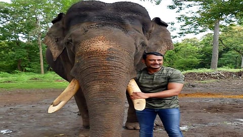 ಆನೆಯೊಂದಿಗೆ ನಟ ದರ್ಶನ್